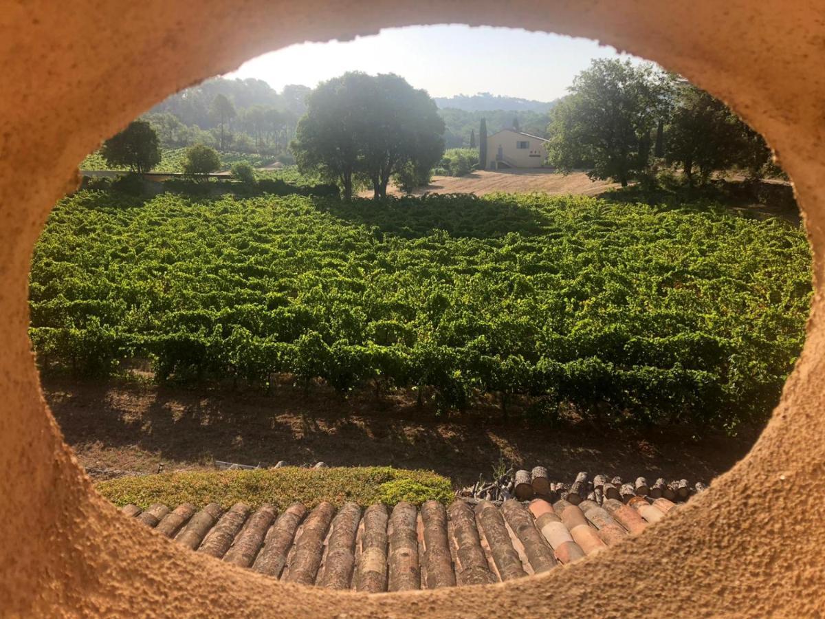 Domaine Du Clos D'Alari-Chambres D'Hotes Au Milieu Des Vignes Saint-Antonin-du-Var Buitenkant foto
