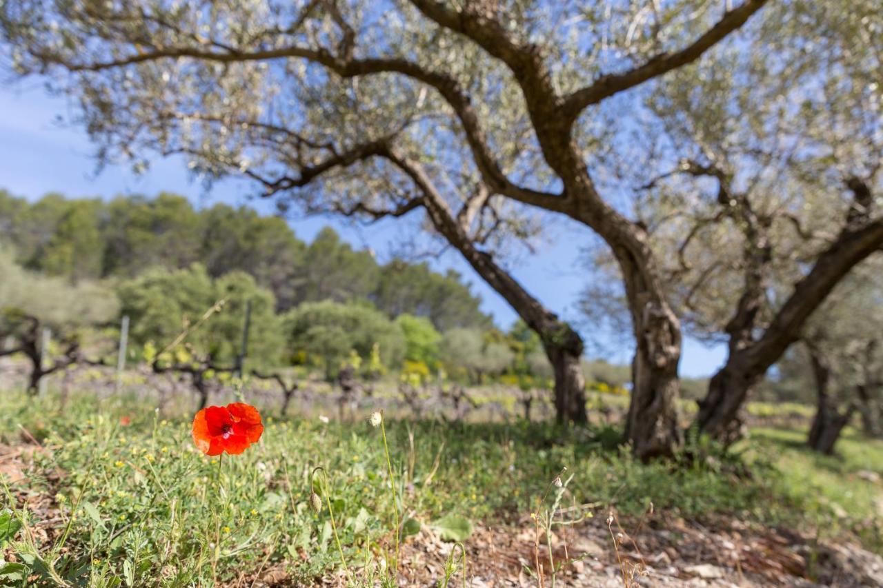 Domaine Du Clos D'Alari-Chambres D'Hotes Au Milieu Des Vignes Saint-Antonin-du-Var Buitenkant foto