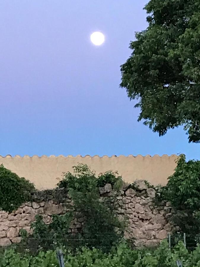 Domaine Du Clos D'Alari-Chambres D'Hotes Au Milieu Des Vignes Saint-Antonin-du-Var Buitenkant foto