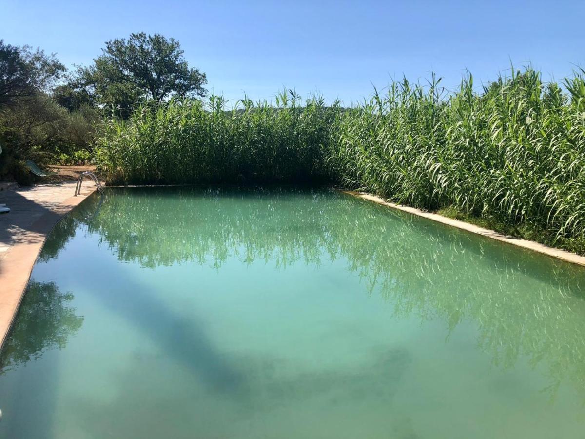 Domaine Du Clos D'Alari-Chambres D'Hotes Au Milieu Des Vignes Saint-Antonin-du-Var Buitenkant foto