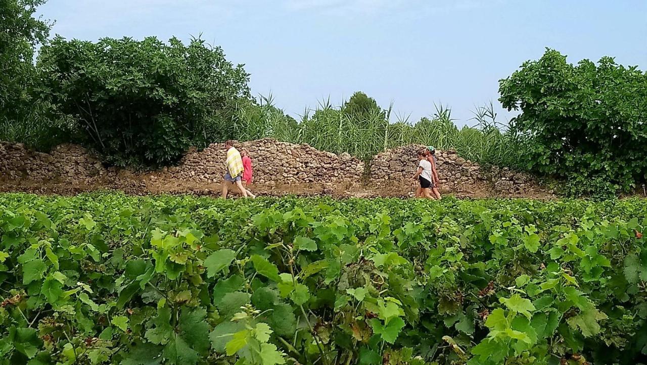 Domaine Du Clos D'Alari-Chambres D'Hotes Au Milieu Des Vignes Saint-Antonin-du-Var Buitenkant foto