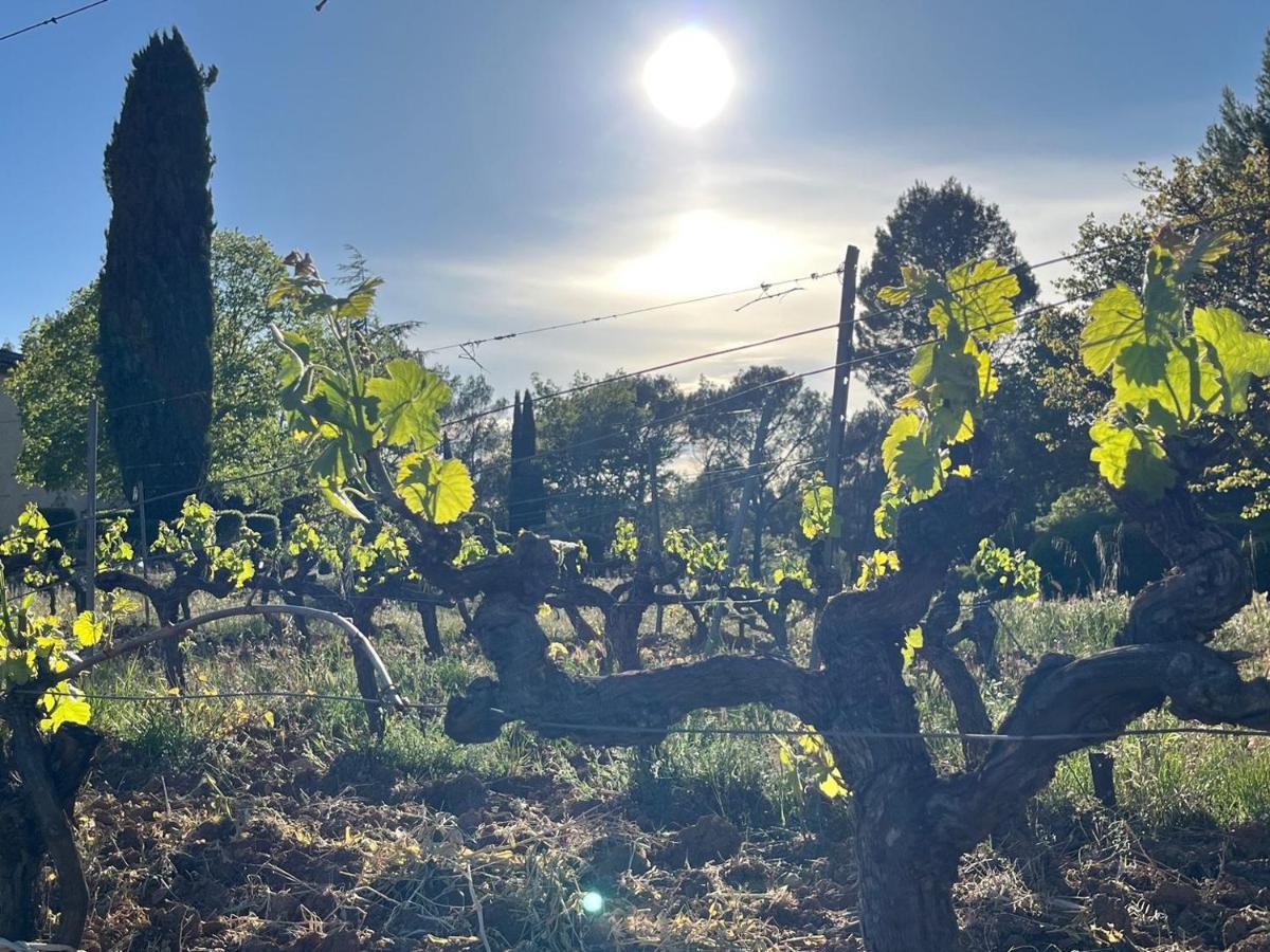 Domaine Du Clos D'Alari-Chambres D'Hotes Au Milieu Des Vignes Saint-Antonin-du-Var Buitenkant foto