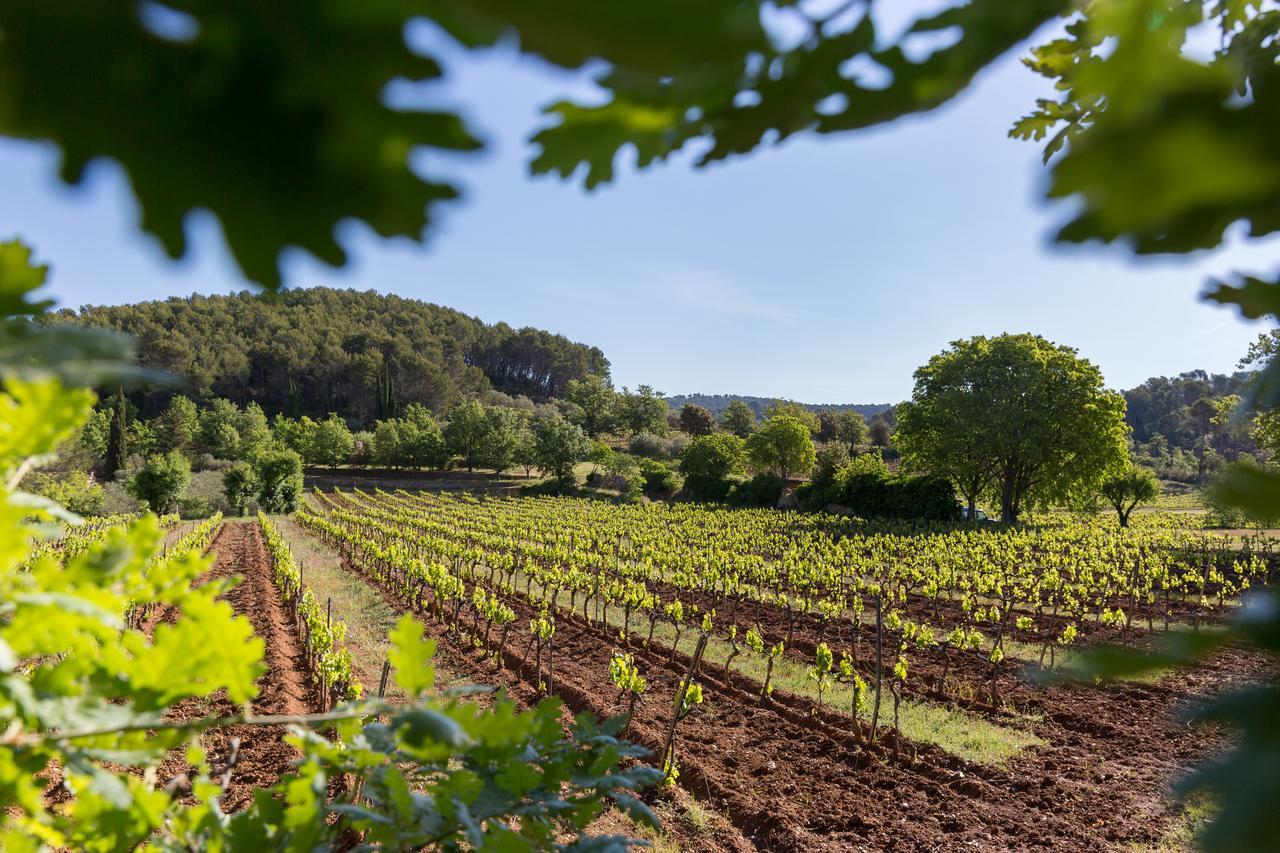 Domaine Du Clos D'Alari-Chambres D'Hotes Au Milieu Des Vignes Saint-Antonin-du-Var Buitenkant foto